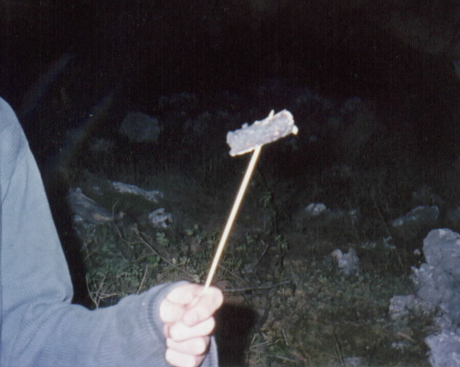 A lump of charcoal on a wooden stick..... and I ate it.